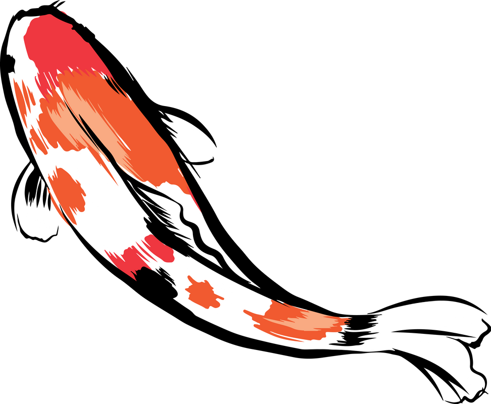 Koi Carps , Fish Illustration